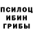 Псилоцибиновые грибы мицелий Elena Gizdan