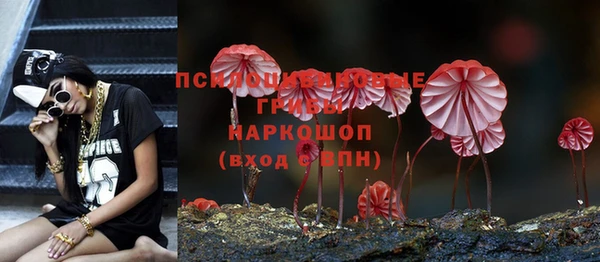 мяу мяу кристалл Алексин